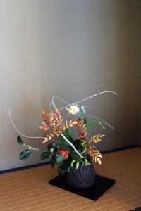s_img_2959