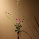 s_IMG_3857